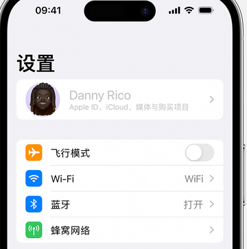 宁都appleID维修服务iPhone设置中Apple ID显示为灰色无法使用 