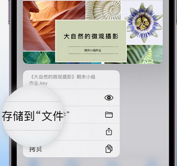 宁都apple维修中心分享iPhone文件应用中存储和找到下载文件