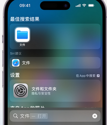 宁都apple维修中心分享iPhone文件应用中存储和找到下载文件 