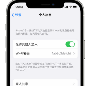 宁都apple服务站点分享iPhone上个人热点丢失了怎么办 