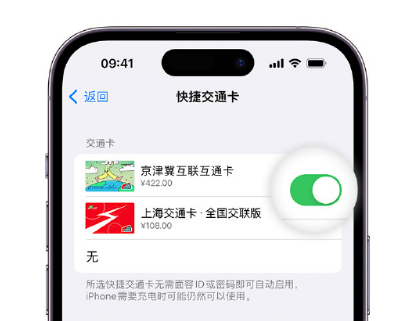 宁都apple维修点分享iPhone上更换Apple Pay快捷交通卡手绘卡面 