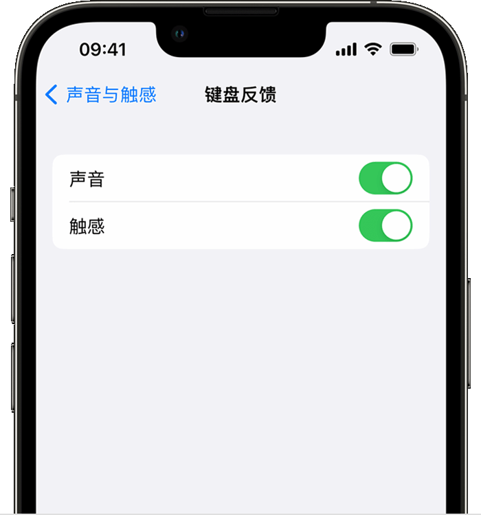 宁都苹果14维修店分享如何在 iPhone 14 机型中使用触感键盘 