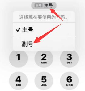 宁都苹果14维修店分享iPhone 14 Pro Max使用副卡打电话的方法 