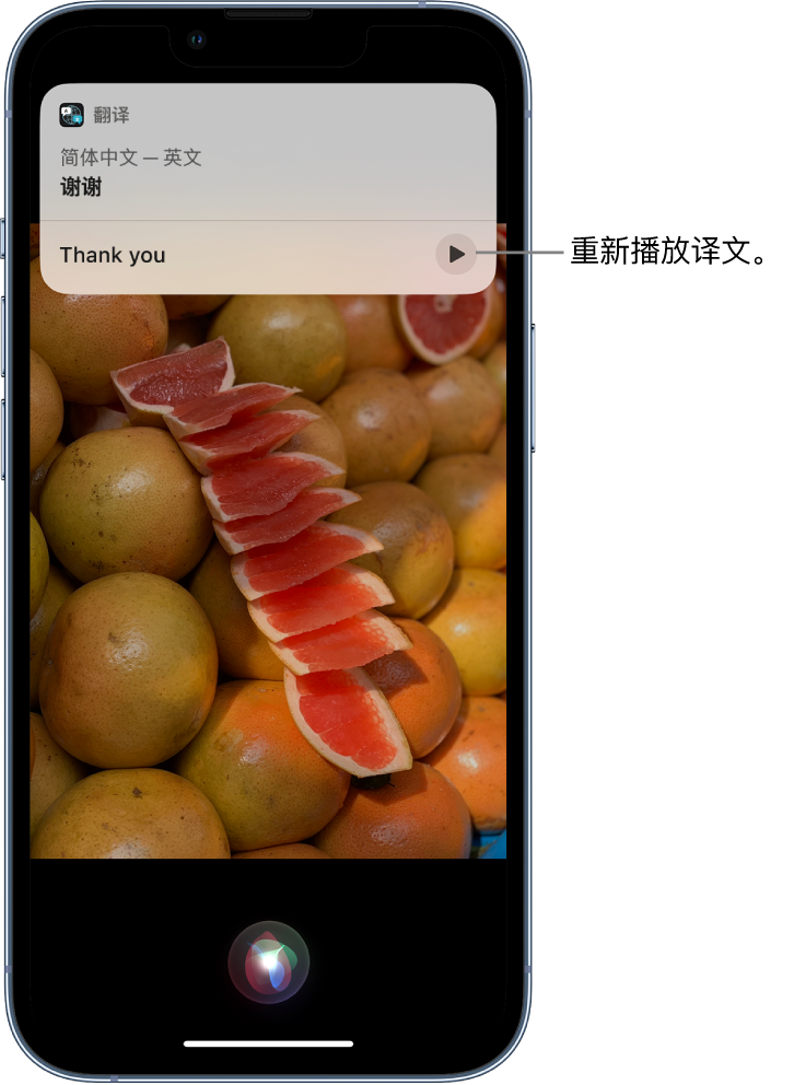 宁都苹果14维修分享 iPhone 14 机型中使用 Siri：了解 Siri 能帮你做什么 