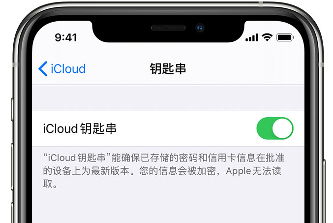 宁都苹果手机维修分享在 iPhone 上开启 iCloud 钥匙串之后会储存哪些信息 