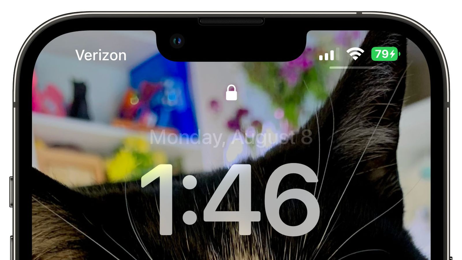 宁都苹果手机维修分享iOS 16 beta 5 支持状态栏显示电池百分比，如何开启？支持哪些机型 