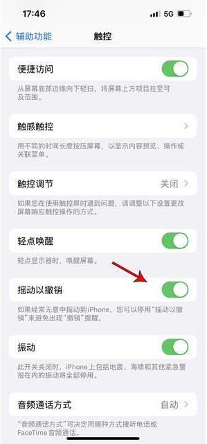 宁都苹果手机维修分享iPhone手机如何设置摇一摇删除文字 