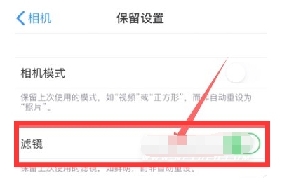 宁都苹果13维修分享iPhone13拍照有绿点是怎么回事 