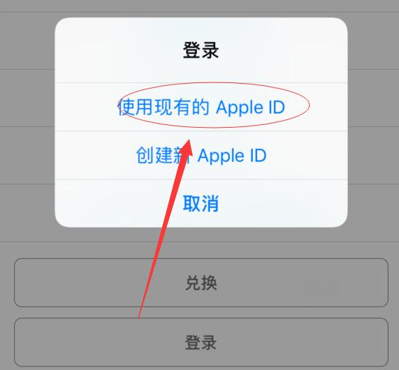 宁都苹果手机维修分享两台iPhone设备可以同时登录一个Apple ID吗 